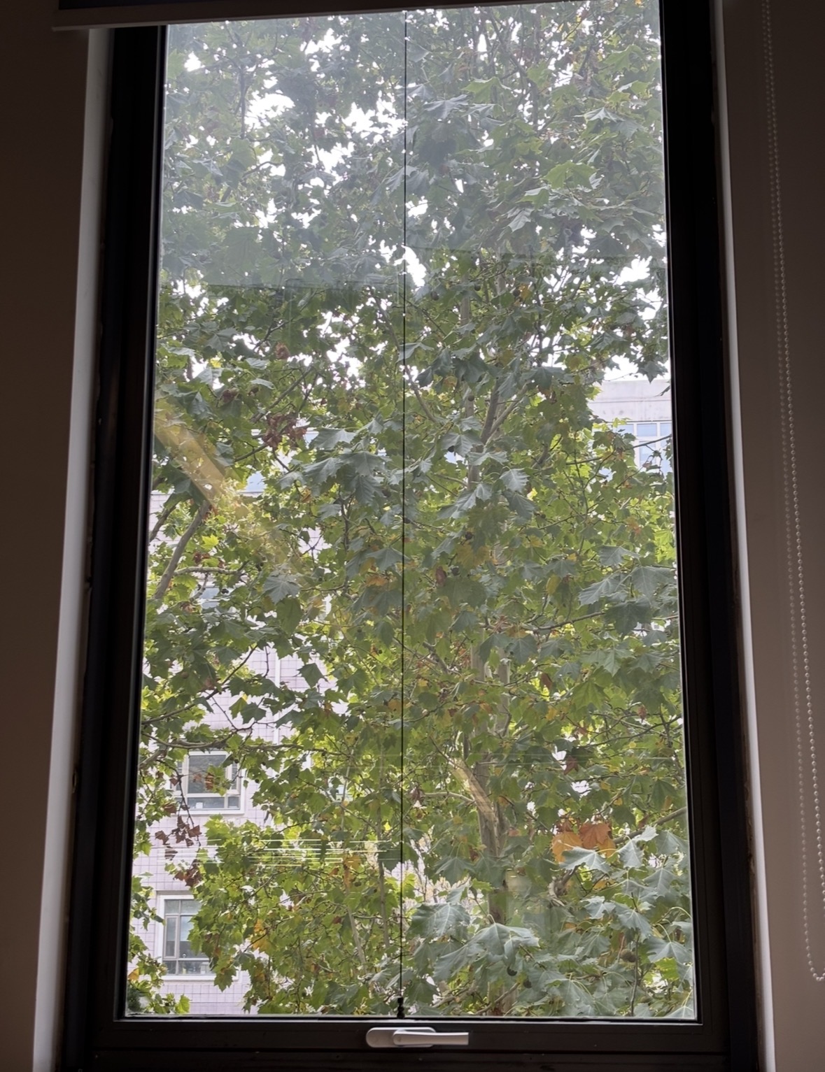 美术图书馆-窗景